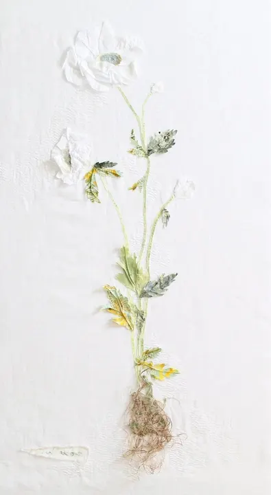 Anemone with a Root