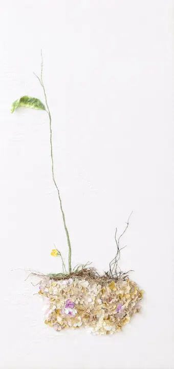 Empty Nest