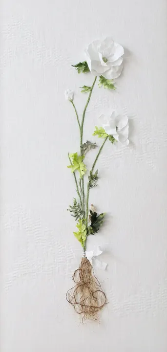Enduring Anemone