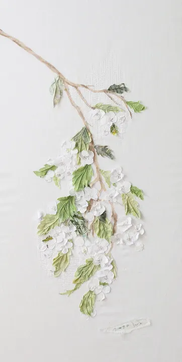 Full Branch of Hawthorn