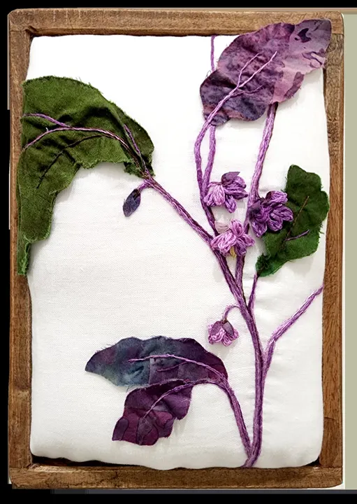 Violet Brinjal