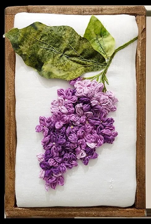 Violet Lilac