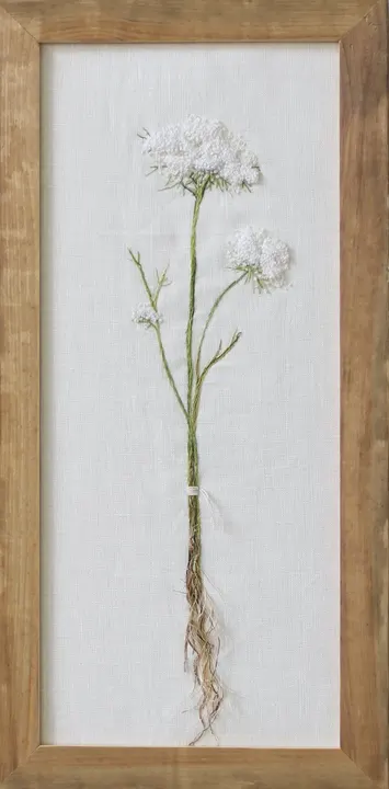 Winter White with a Root